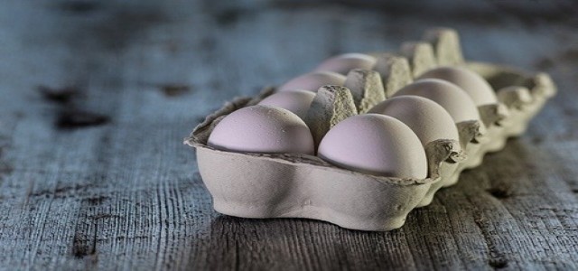 Nabati Foods Global Inc. unveils plant-based liquid eggs in Canada